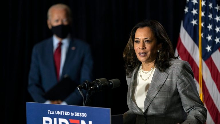 Kampagne mit groben Theorien: Trump bezweifelt Harris ‚Recht, ein Laster zu führen