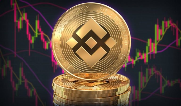 Was müssen Sie über Binance Coin und sein Design wissen?